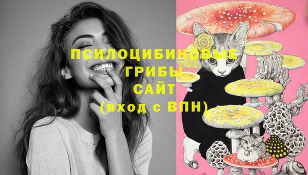 гашишное масло Коряжма
