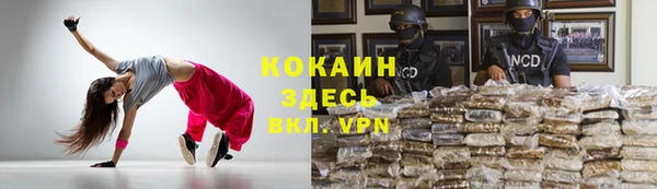 дмт Костерёво