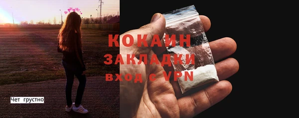 дмт Костерёво