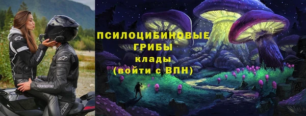 шишки Кулебаки