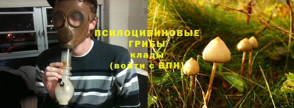 шишки Кулебаки